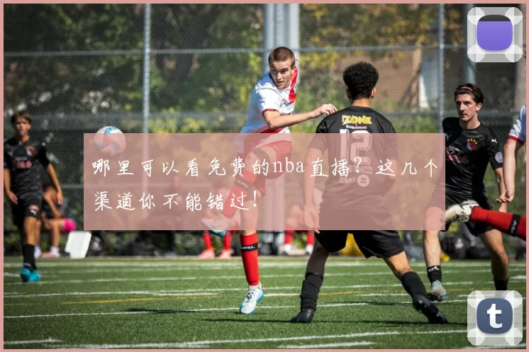 哪里可以看免费的nba直播？这几个渠道你不能错过！
