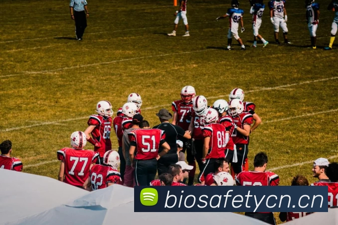 多媒体互动体验